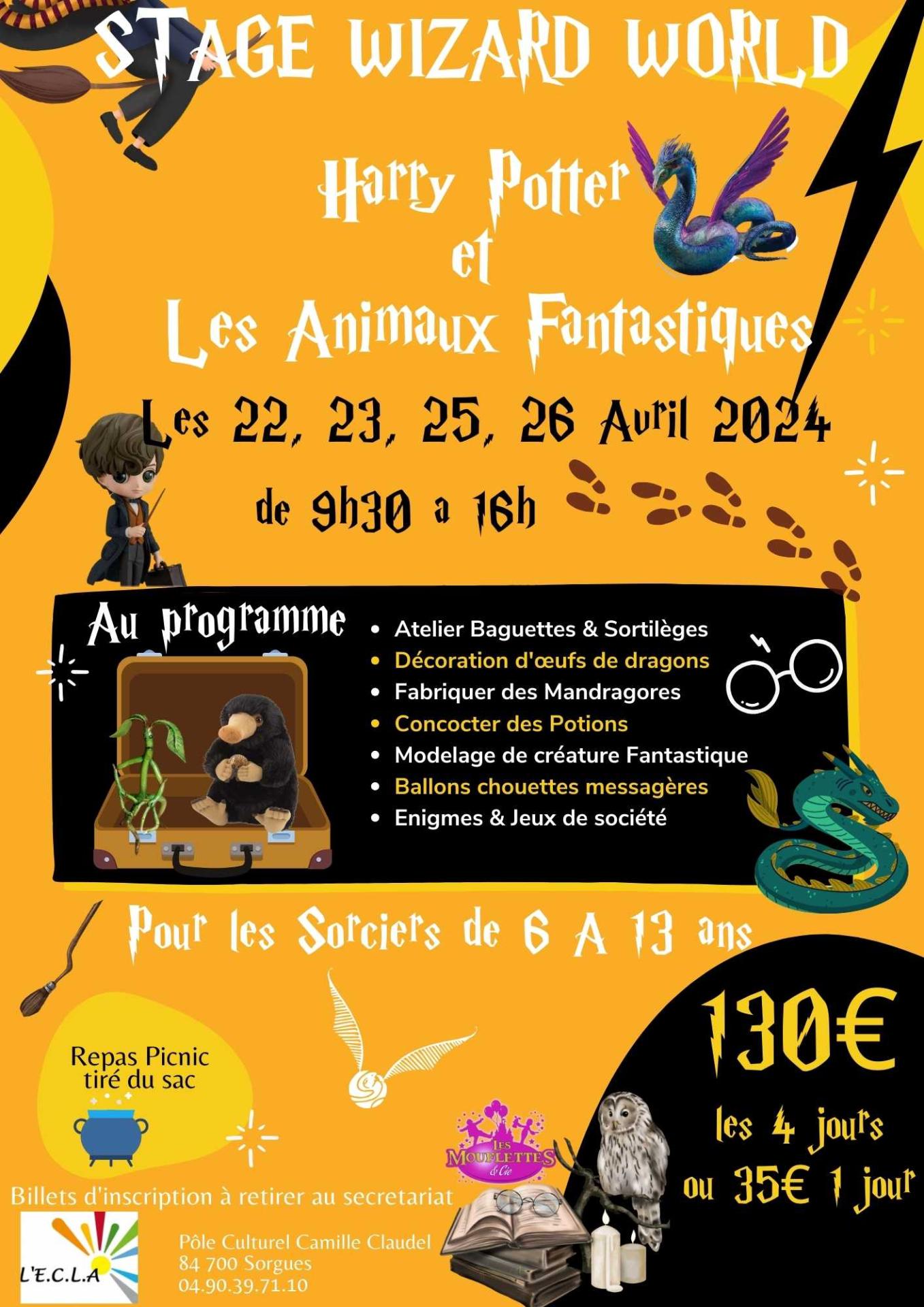 Stage wizard world ecla avril 2024 hp et animaux fantastiques